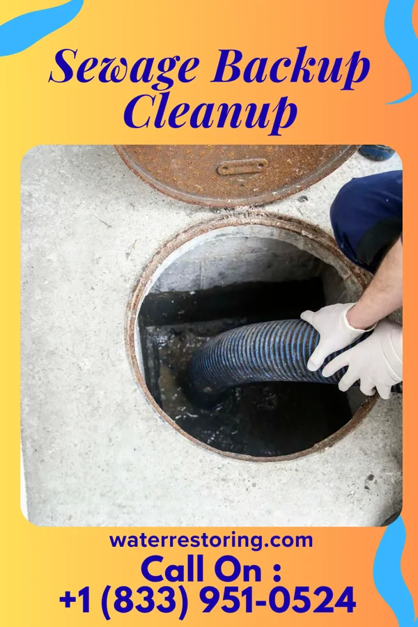 Sewage Backup Cleanup in Cromwell, MN