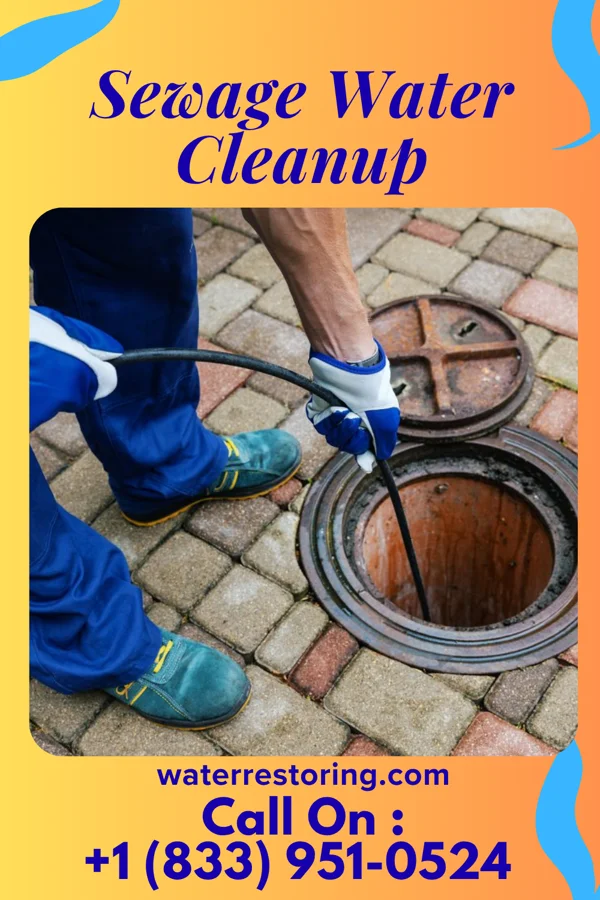 Sewage Water Cleanup in Cromwell, MN